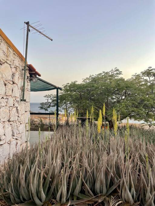Casa Aloe Vera - Private House W/ Free Breakfast Cidade Velha Exterior photo